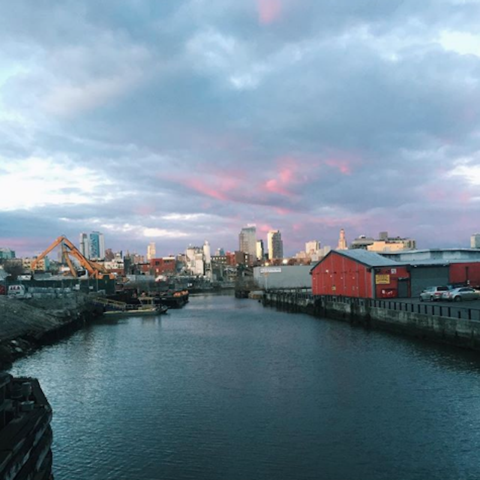 Gowanus: An Adult Playground